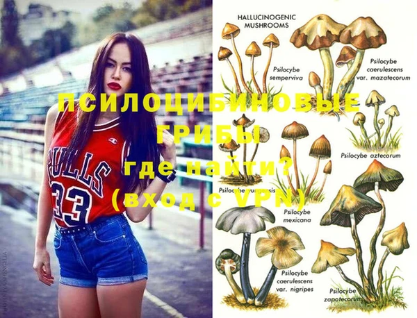 мяу мяу мука Алексеевка