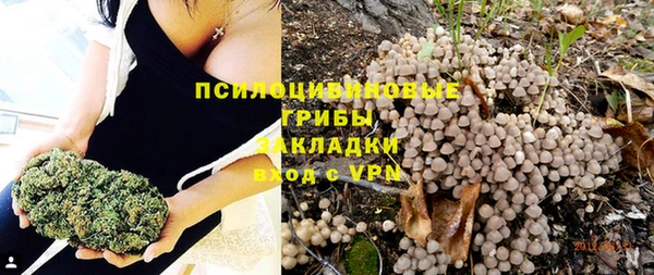 спиды Алзамай