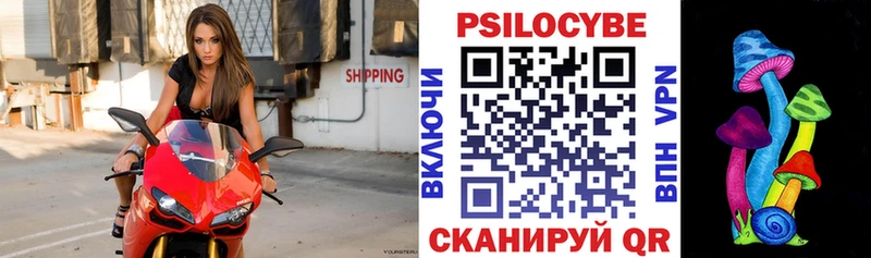 Псилоцибиновые грибы Psilocybine cubensis  Жирновск 